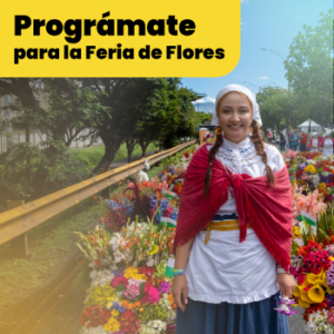 articulo-feria-programaciónç